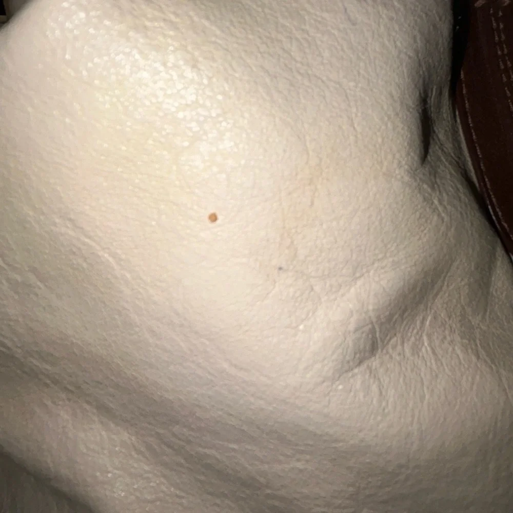 Coach Ashley cream/brown leather satchel
